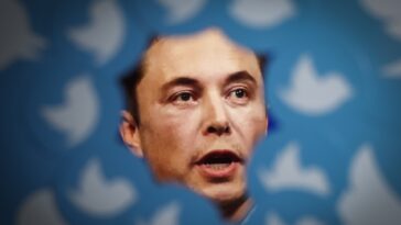 Elon Musk dice que restablecerá la cuenta de Twitter del expresidente Donald Trump después de la encuesta en línea | Noticias de Buenaventura, Colombia y el Mundo