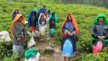 Sri Lanka: La crisis del costo de vida amenaza con hundir a millones de personas que ya enfrentan decisiones difíciles | Noticias de Buenaventura, Colombia y el Mundo