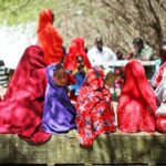 Somalia: Jefe de derechos humanos denuncia fuerte aumento de víctimas civiles | Noticias de Buenaventura, Colombia y el Mundo