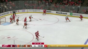 Anaheim Ducks vs. Detroit Red Wings - Resumen del juego | Noticias de Buenaventura, Colombia y el Mundo