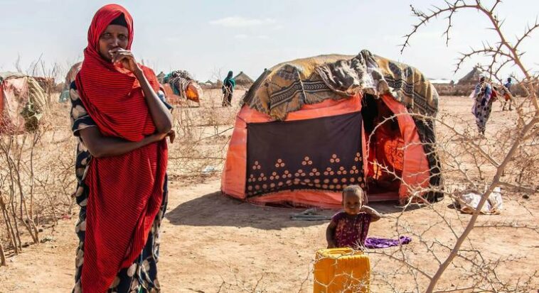 Cuerno de África: UNFPA lanza un llamamiento de USD 113 millones para mujeres y niñas afectadas por la sequía | Noticias de Buenaventura, Colombia y el Mundo