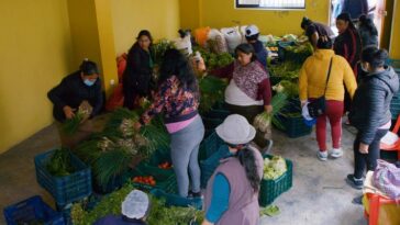Crisis alimentaria de Perú crece en medio de alza de precios y pobreza: FAO | Noticias de Buenaventura, Colombia y el Mundo