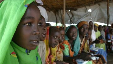 Sudán: Los derechos humanos deben 'estar en el centro' de la transición democrática, insta Türk | Noticias de Buenaventura, Colombia y el Mundo