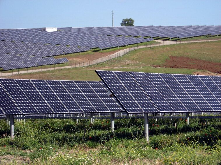 La planta solar cubriría 319 hectáreas de terrenos de Vega Baja (Alicante) | Noticias de Buenaventura, Colombia y el Mundo