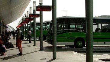 Ve a ver España ya que 42 rutas de autobús de larga distancia en España serán gratuitas en 2023 | Noticias de Buenaventura, Colombia y el Mundo