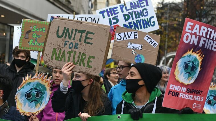 COP27: ¿Cómo está abordando Irlanda del Norte el cambio climático? | Noticias de Buenaventura, Colombia y el Mundo