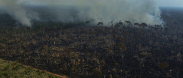La deforestación amazónica en Brasil sigue cerca del máximo en 15 años | Noticias de Buenaventura, Colombia y el Mundo