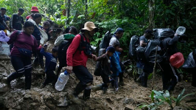 Panamá registra descenso de migrantes venezolanos, aumenta la llegada de ecuatorianos y haitianos | Noticias de Buenaventura, Colombia y el Mundo