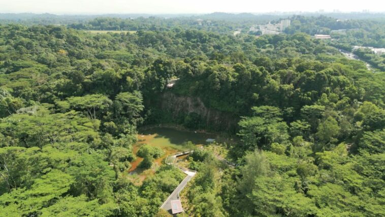 El renovado Parque Natural Rifle Range abre con senderos de 7 km, un mirador de 31 m y un humedal de cantera | Noticias de Buenaventura, Colombia y el Mundo