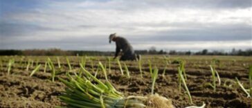 Agricultura en América Latina debe transformarse para enfrentar amenazas, advertir ministros | Noticias de Buenaventura, Colombia y el Mundo