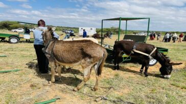 El gobierno del Noroeste dice que los carros de burros dañados se repararán de forma gratuita | Noticias de Buenaventura, Colombia y el Mundo