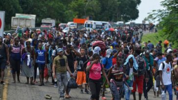 La ONU pide a República Dominicana detener las deportaciones forzadas de haitianos | Noticias de Buenaventura, Colombia y el Mundo
