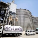 Nuevo intercambio ofrece a Egipto otra forma de importar trigo | Noticias de Buenaventura, Colombia y el Mundo