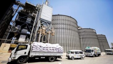 Nuevo intercambio ofrece a Egipto otra forma de importar trigo | Noticias de Buenaventura, Colombia y el Mundo