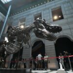 Christie's cancela la venta de $ 15 M.- $ 20 M. T-Rex por preocupaciones sobre la cantidad de réplicas de huesos | Noticias de Buenaventura, Colombia y el Mundo
