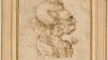 Dibujo de Leonardo da Vinci donado a la Galería Nacional de Washington | Noticias de Buenaventura, Colombia y el Mundo