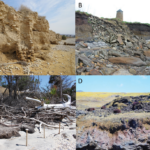 El cambio climático amenaza con destruir los principales sitios arqueológicos, según un estudio | Noticias de Buenaventura, Colombia y el Mundo