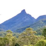 Plan para prohibir el ingreso de mujeres al sitio del parque nacional | Noticias de Buenaventura, Colombia y el Mundo