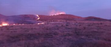 ACTUALIZACIÓN: Bomberos del Infoca siguen combatiendo el incendio forestal en Uleila del Campo, Almería | Noticias de Buenaventura, Colombia y el Mundo