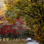WRC - Evans en lo más alto del Rallye de Japón mientras la batalla se intensifica | Noticias de Buenaventura, Colombia y el Mundo