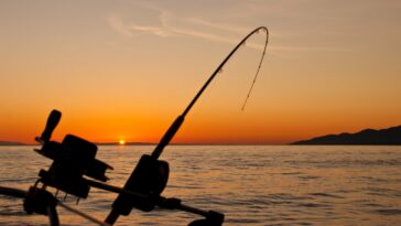 La pesca podría aliviar los problemas graves de salud mental, según una encuesta | Noticias de Buenaventura, Colombia y el Mundo