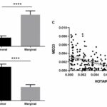 La expresión de HOTAIR y MEG3 se asocia negativamente con el estado positivo de H. pylori en pacientes con cáncer gástrico | Noticias de Buenaventura, Colombia y el Mundo