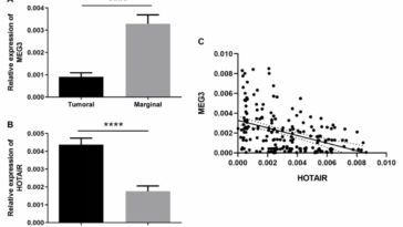 La expresión de HOTAIR y MEG3 se asocia negativamente con el estado positivo de H. pylori en pacientes con cáncer gástrico | Noticias de Buenaventura, Colombia y el Mundo