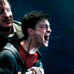 Los fans de 'Harry Potter' saben que los verdaderos sociópatas del libro no son Ya-Sabes-Quién | Noticias de Buenaventura, Colombia y el Mundo