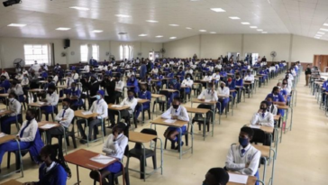 Gauteng Education dice estar listo para el marcado matricial: Chiloane | Noticias de Buenaventura, Colombia y el Mundo