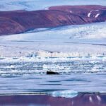 El adelgazamiento de la capa de hielo de Groenlandia puede significar un mayor aumento del nivel del mar: estudio | Noticias de Buenaventura, Colombia y el Mundo