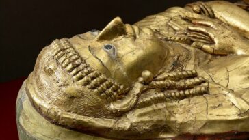 La momificación del antiguo Egipto nunca tuvo la intención de preservar los cuerpos, revela una nueva exhibición | Noticias de Buenaventura, Colombia y el Mundo