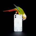 La nueva startup del cofundador de OnePlus, Carl Pei, quiere lanzar un teléfono inteligente en los EE. UU. Para enfrentarse a Apple | Noticias de Buenaventura, Colombia y el Mundo