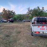 Varios incendios en partes de Cape Winelands contenían | Noticias de Buenaventura, Colombia y el Mundo