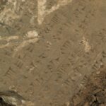 Arqueólogos descubren umbral de puerta de palacio 'significativo' en la antigua ciudad iraquí de Nimrud durante una importante excavación de recuperación | Noticias de Buenaventura, Colombia y el Mundo