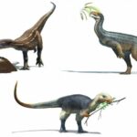 Los ancestros de los dinosaurios "vegetarianos" en realidad se daban un festín con la carne | Noticias de Buenaventura, Colombia y el Mundo
