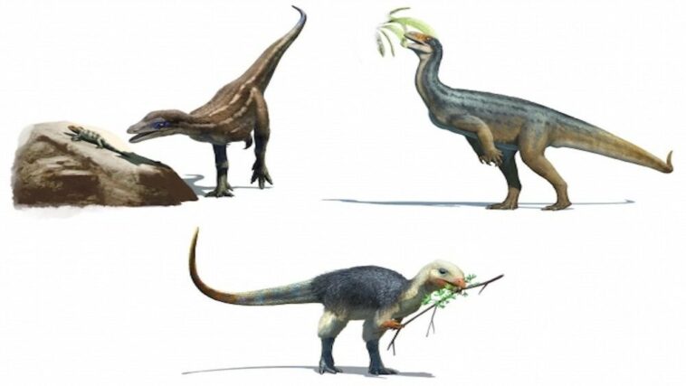 Los ancestros de los dinosaurios "vegetarianos" en realidad se daban un festín con la carne | Noticias de Buenaventura, Colombia y el Mundo