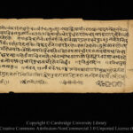 Antiguo rompecabezas gramatical resuelto después de 2.500 años | Noticias de Buenaventura, Colombia y el Mundo