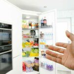¿Cómo comprar la nevera y el congelador ideal para tu hogar?