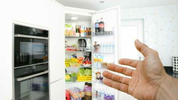 ¿Cómo comprar la nevera y el congelador ideal para tu hogar?