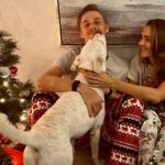 Dog Days Of Winter: Shapovalov adopta a un amigo peludo durante las vacaciones | Noticias de Buenaventura, Colombia y el Mundo