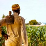 ¿Por qué los agricultores del norte de Ghana se acuestan con hambre? | Noticias de Buenaventura, Colombia y el Mundo