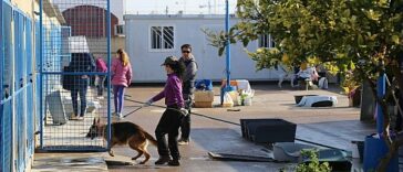 El Centro de Acogida Municipal de Animales de Torrevieja ya está abierto todo el año | Noticias de Buenaventura, Colombia y el Mundo