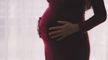 `Terminación del embarazo de 32 semanas`: Bombay HC dice que la mujer tiene derecho a decidir el embarazo; permite el aborto de fetos anormales | Noticias de Buenaventura, Colombia y el Mundo