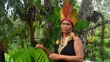 'No tenemos miedo': mujeres indígenas brasileñas se enfrentan a la violencia de género | Noticias de Buenaventura, Colombia y el Mundo