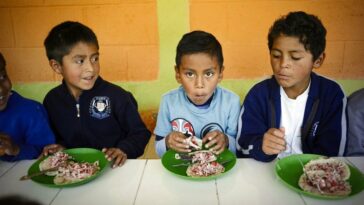 América Latina y el Caribe 'deben dar un paso al frente' para enfrentar el aumento del hambre: FAO | Noticias de Buenaventura, Colombia y el Mundo