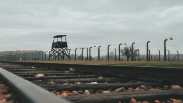 Hogar, pertenencia y el Holocausto | Noticias de Buenaventura, Colombia y el Mundo