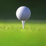 Morikawa y Scott se unen a la liga de golf virtual TGL | Noticias de Buenaventura, Colombia y el Mundo