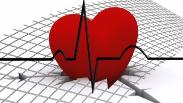 Menos factores de riesgo conocidos, pero mayor riesgo de enfermedad cardiovascular en personas con enfermedad celíaca | Noticias de Buenaventura, Colombia y el Mundo