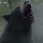 Espera, ¿el oso de la cocaína está basado en una historia real? | Noticias de Buenaventura, Colombia y el Mundo