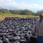 Entregan 50 toneladas de ensilaje de sorgo y maíz a pequeños productores de Sabanas de San Ángel